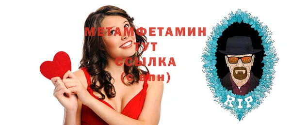 прущие грибы Надым