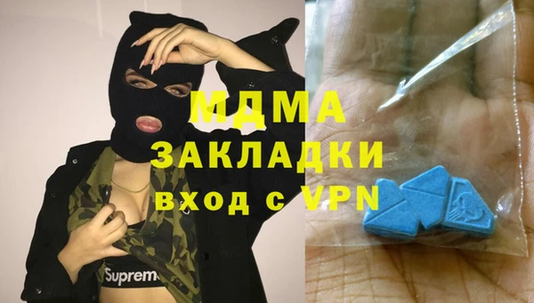 прущие грибы Надым