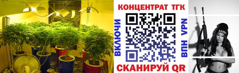 mega ТОР  как найти закладки  Минусинск  Дистиллят ТГК жижа 