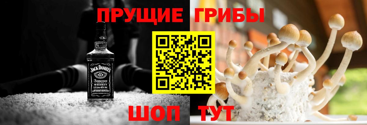 Псилоцибиновые грибы GOLDEN TEACHER  Вход с VPN  Галлюциногенные грибы Cubensis  Минусинск 
